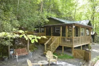 Quaint Cabin with a Creek in Front That Will Lull You to Sleep and Pets Allowed