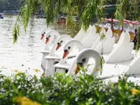 Travelite Express Hotel Hotels in Baguio