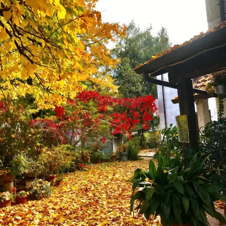Stella Polare B&B