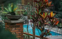 Spencer Green Hotel Batu - piscina