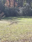 Charming 2-bedroom vintage cottage with WiFi, a/c, and other popular amenities. - 3-Star
