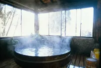 호텔 다이코겐 - 온천
