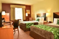 Sleep Inn Hotel Paseo Las Damas - Phòng tập thể hình