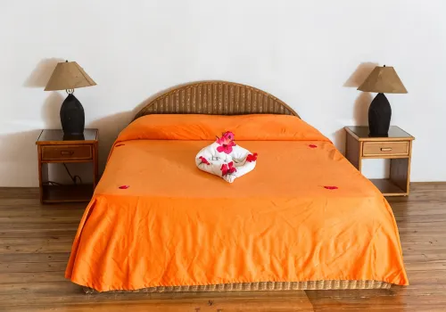 Hotel Residencia del Paseo - 送迎