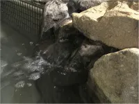 Dormy Inn Himeji Natural Hot Spring - Hot Springs