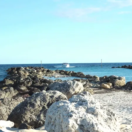 Stunning Oceanfront Condo at Coral Beach unit 1107