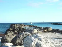 珊瑚海灘1107室精美海濱公寓 - 海滩