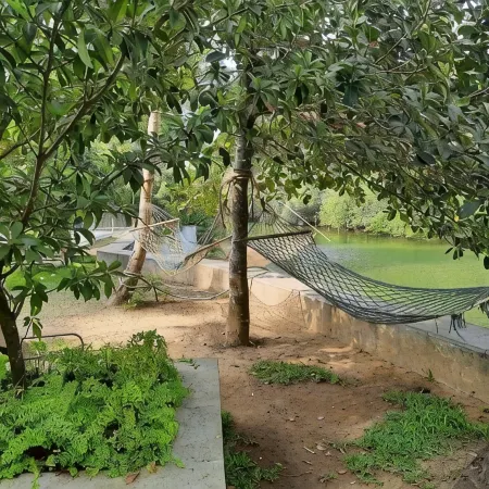 The Riverside Guesthouse