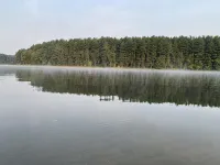4PelicansOhio: Relaxing Cabin Near Leesville Lake ~Pets Welcome~ 2 Queens & 1F - Wifi