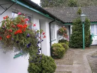 The Willow House - bar