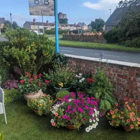 The Bridges B&B