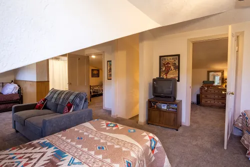 Family Cabin Hiking, Biking, Skiing and Hunting! - Chalets