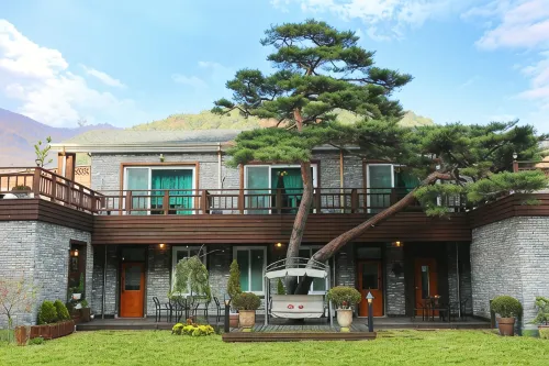 Muju Pine Tree House Pension - Homestays