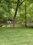 cabin on a stream - Hytter