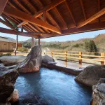Sannouzan Onsen Zuisenkyo - homestay