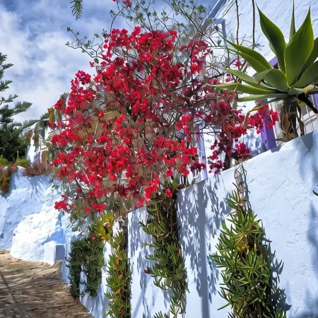 Hotel Costasol