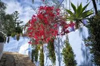 Hotel Costasol - Cheap