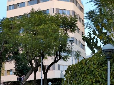 Hotel Censal