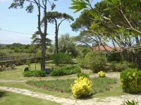 Solar Do Magoito - maisons de vacances