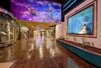 Hollywood Casino Tunica - Quầy Bar