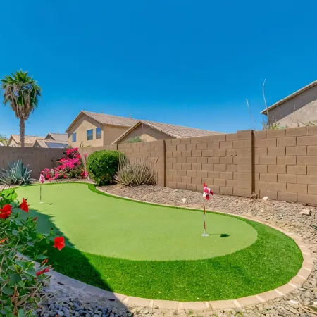 Palmen Maricopa