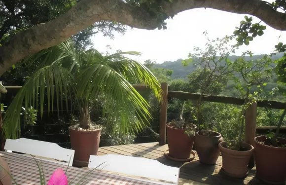 烏託邦非洲遊客別墅