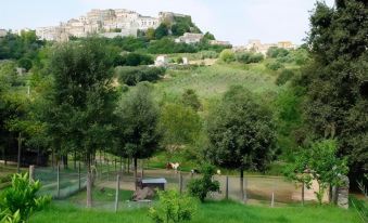 Agriturismo l'Arca di Anna Brambilla