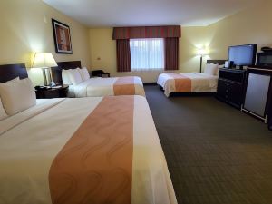 Quality Inn & Suites Anaheim at The Park