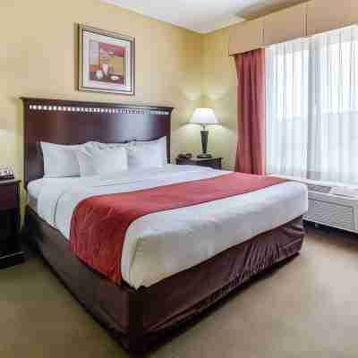 Comfort Suites Palestine Rooms