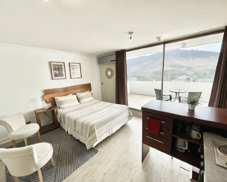 Rho Departamentos Hotels in Providencia