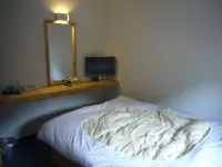 Business Hotel Tsuwano Hotels in 