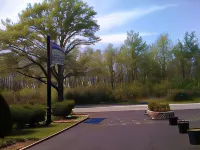 Cool Springs Inn - 2-Star