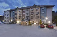 Brookstone Lodge Near Biltmore Village, Ascend Hotel Collection Hotels near Sweeten Creek Rd