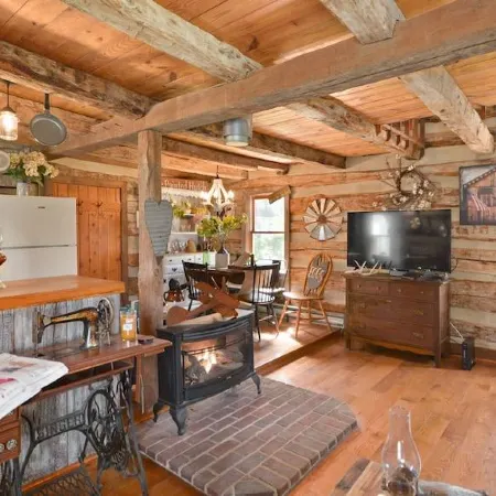 Vintage cabin in the ❤️ of Middletown , MD.  Pet friendly and prime location.