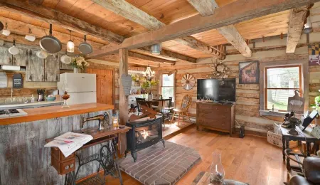 Vintage cabin in the ❤️ of Middletown , MD.  Pet friendly and prime location.