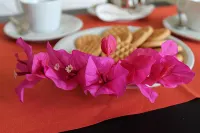 Hotel Esperia - Desayuno