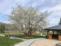 Hotel Kardamon Hotels in Tarnow
