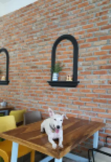 Ginger Bread House - Pet Lover Resort