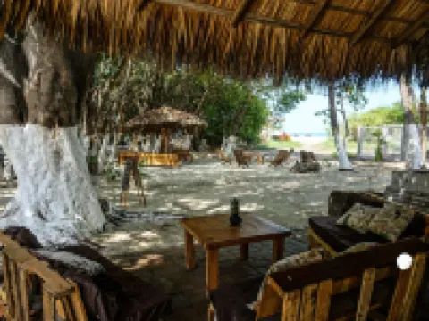 Nomad Beach House - Hostel Hotels in San Pedro Mixtepec