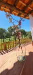 Herdade Do Rio Torto