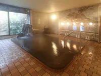 Onsen Hotel Nakahara Bessou Nonsmoking, Earthquake Retrofit - suối nước nóng