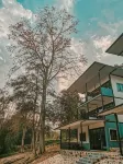 Pechmaneekan Beach Resort Отели в г. Сай-Йок