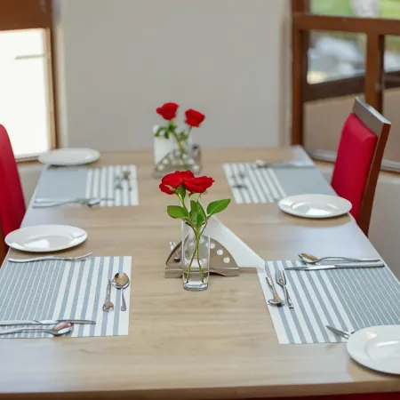 Rock Hyrax Hotel