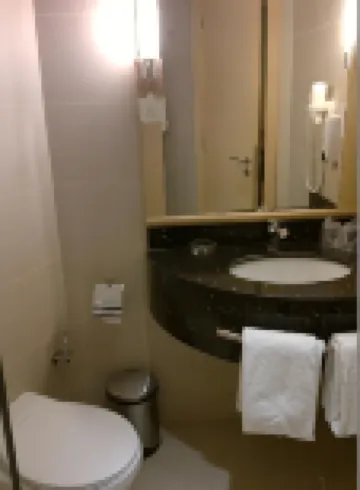 Ibis Riyadh Olaya Street