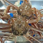 Kinosaki Onsen Mitsuwa