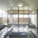 Ishidaya Hotels in Iiyama