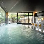 Fujiya Hotel Hotels in Owani