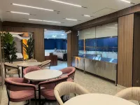 Ideal Hotel - Pet friendly
