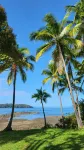 Hotel Las Hamacas - parking