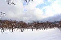 Maple Farm - مطابخ